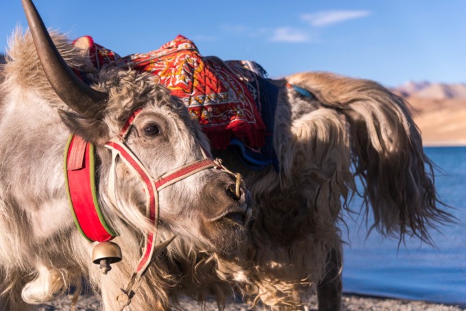 ネパール特産品