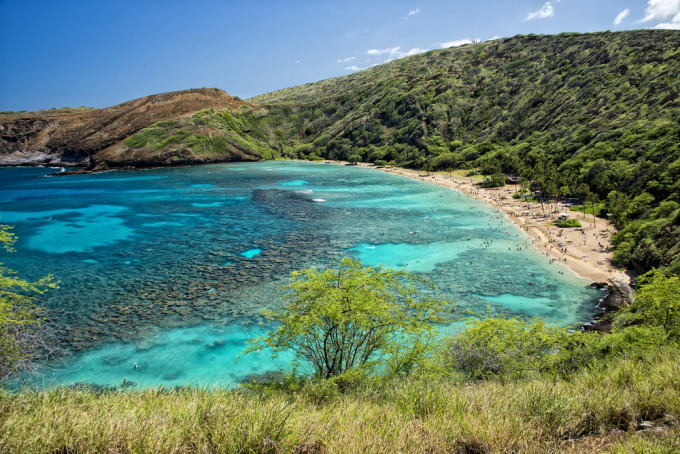 shutterstock_213553261