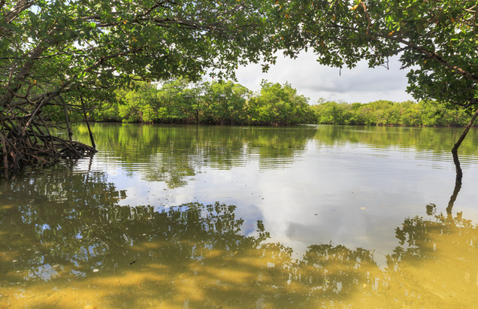 shutterstock_407744041