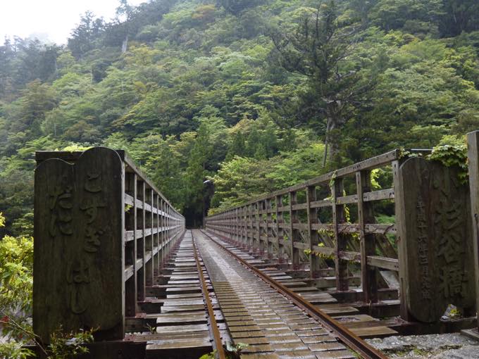 小杉谷橋/縄文杉トレッキング
