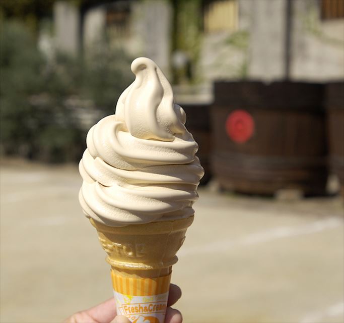 もう普通のソフトクリームじゃ物足りない。個性派ご当地ソフト15選
