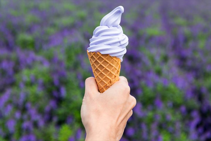 もう普通のソフトクリームじゃ物足りない。個性派ご当地ソフト15選