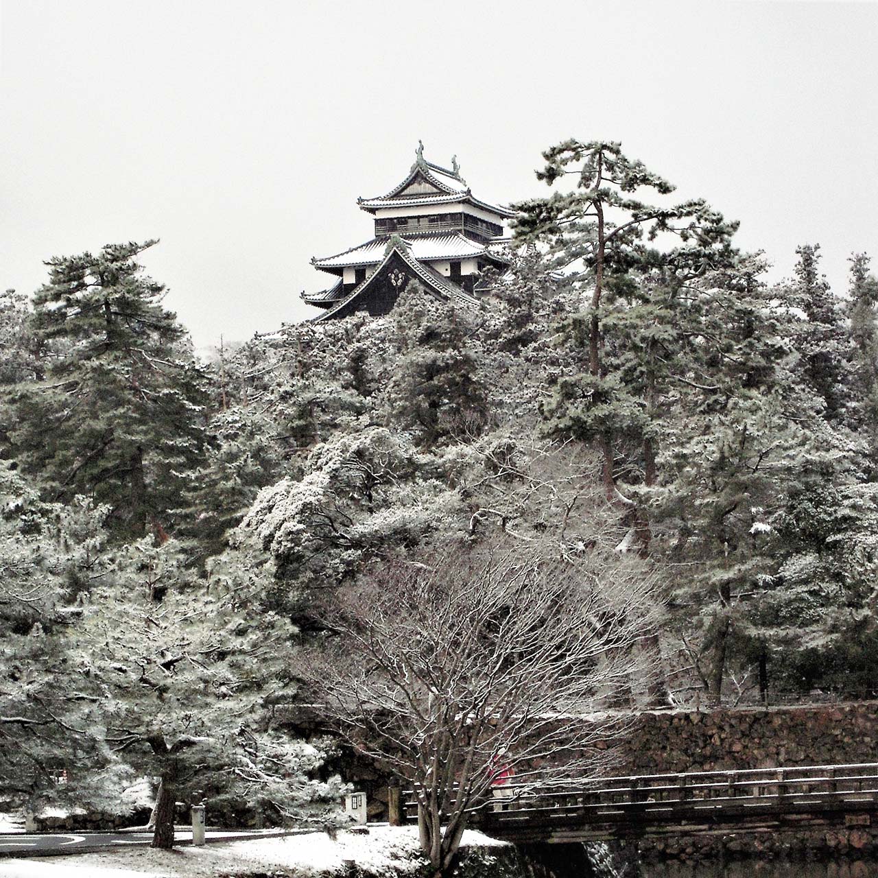 松江城冬の堀川めぐり
