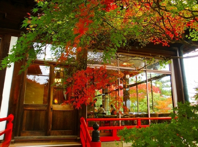 優雅に過ごす大人の休日　クラシックな「奈良ホテル」