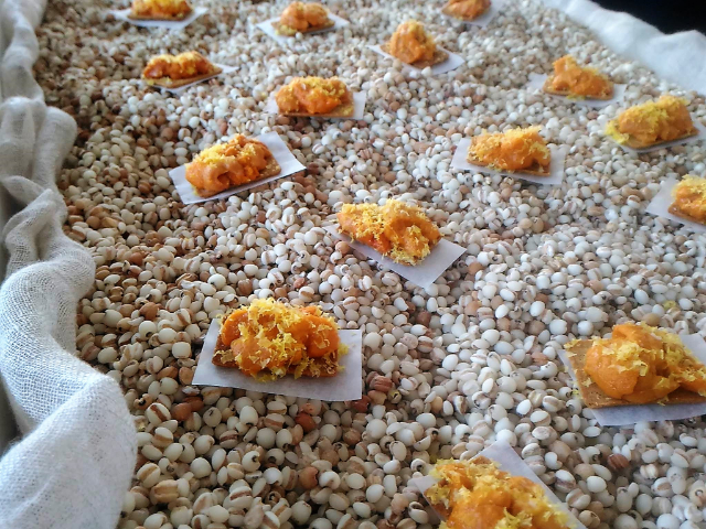 DINING OUT（ダイニングアウト）フィンガーフード