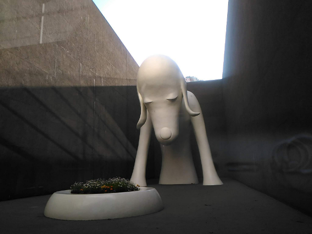 DINING OUT（ダイニングアウト）あおもり犬