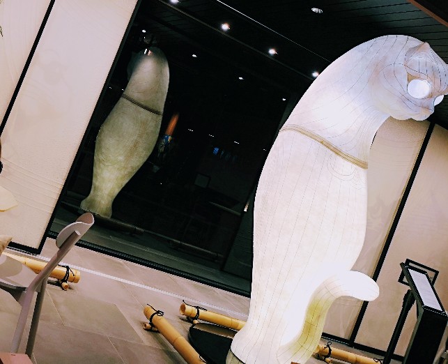 ラウンジ　シップスキャット