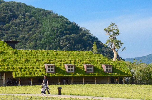 まるでジブリの世界！ファンタジックな緑の屋根のカフェ「ラ コリーナ近江八幡」