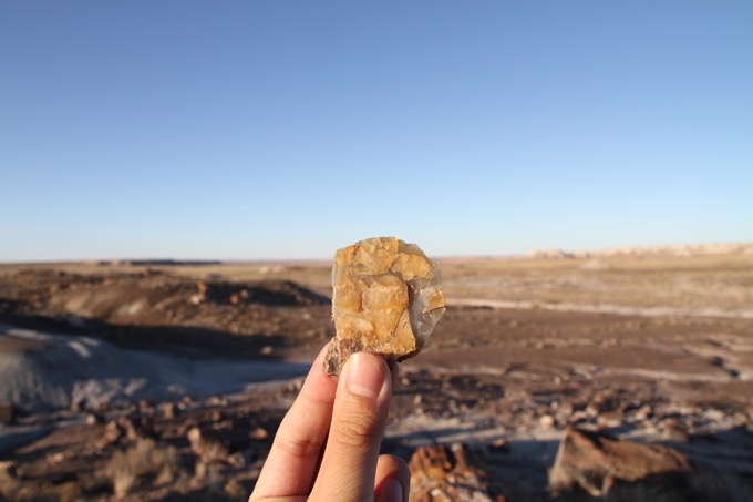 化石の森国立公園