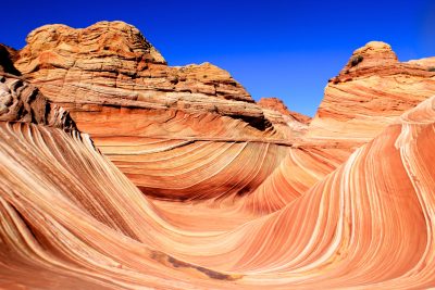the wave