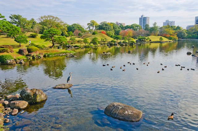熊本県熊本市神水水前寺公園