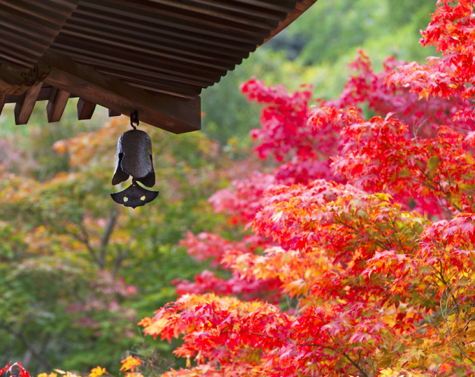 スクリーンショット 2015-09-16 0.21.11