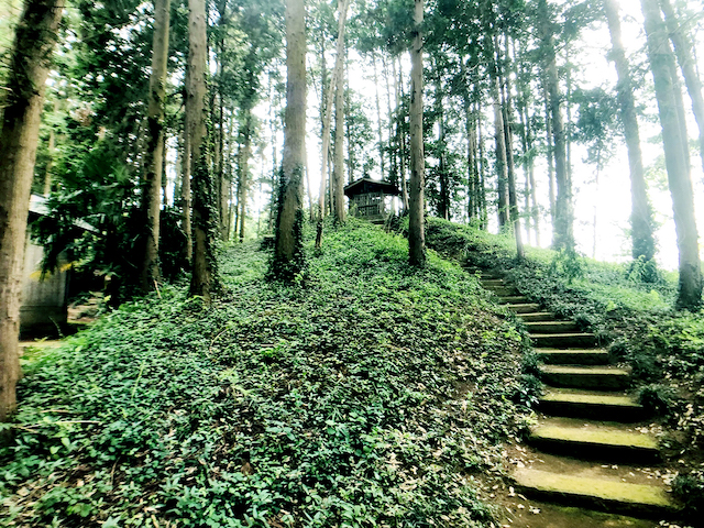 日本列島ゆるゆる古墳ハント30茨城県水戸市牛伏古墳群とくれふしの里古墳公園8