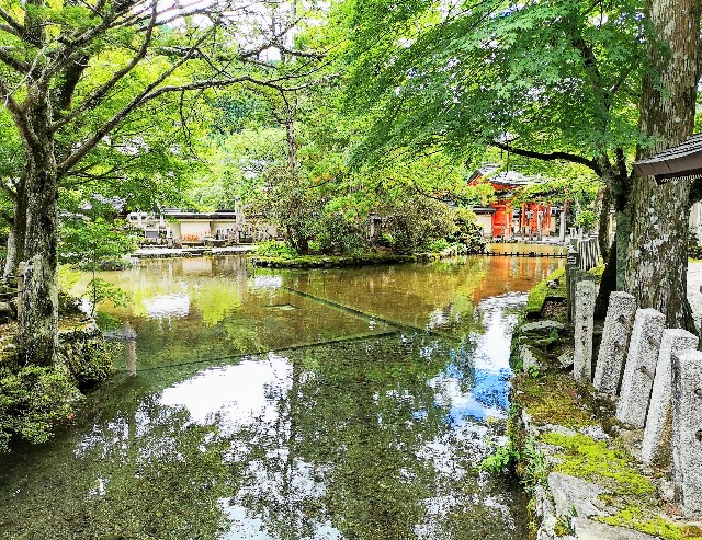 奈良県吉野郡・「真言宗醍醐派総本山 大峯山 龍泉寺」龍の口から湧き出てできた池