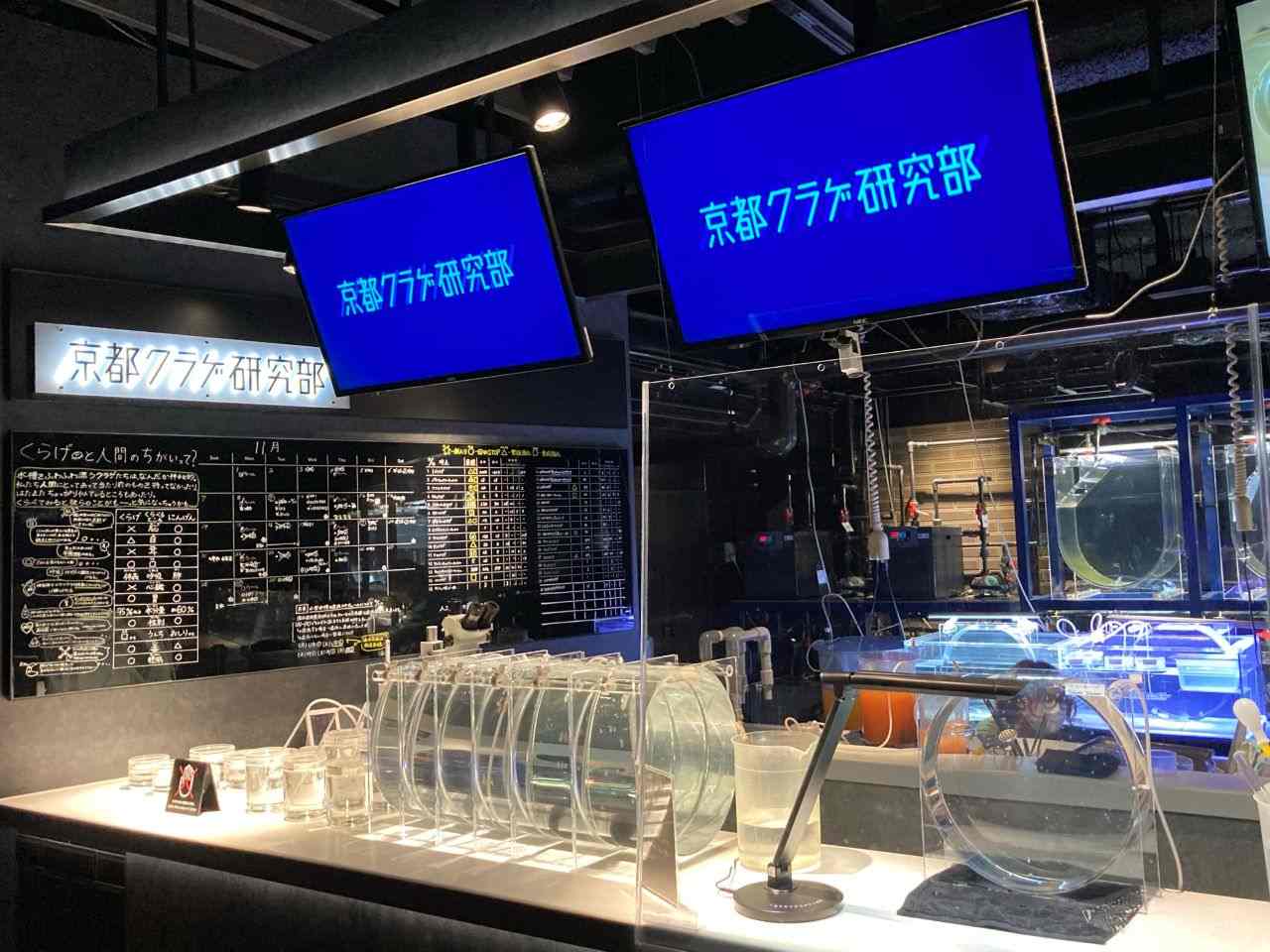 京都クラゲ研究所