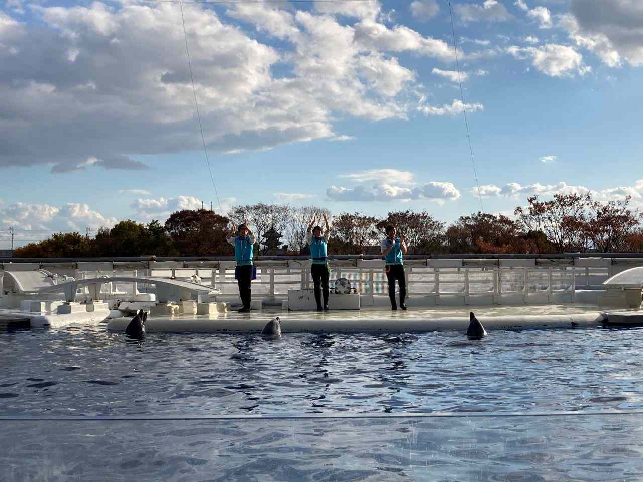 イルカパフォーマンス「YEAH!!」