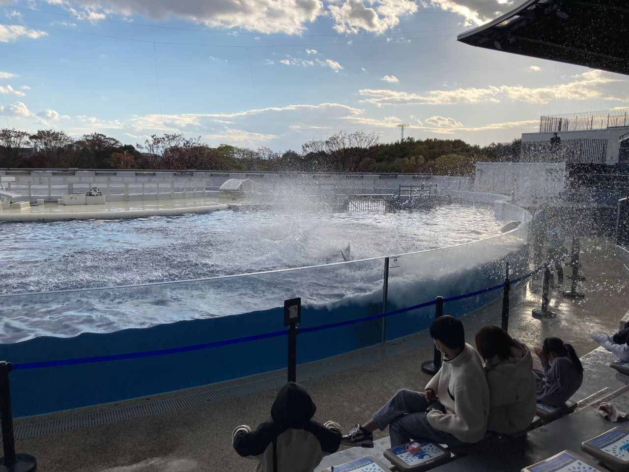 イルカパフォーマンス「YEAH!!」