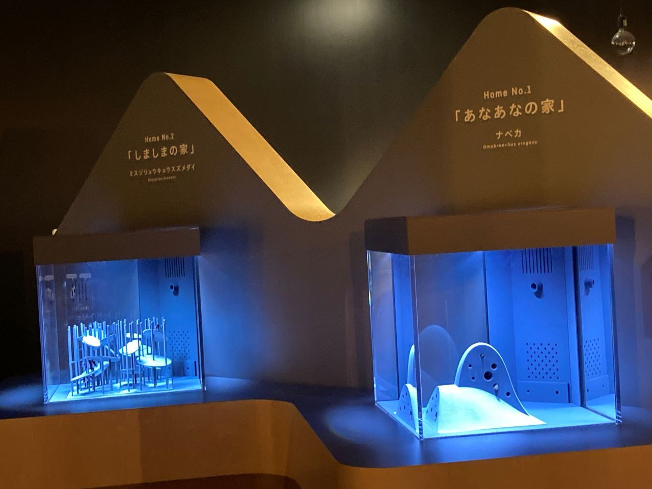 カタチとくらし展