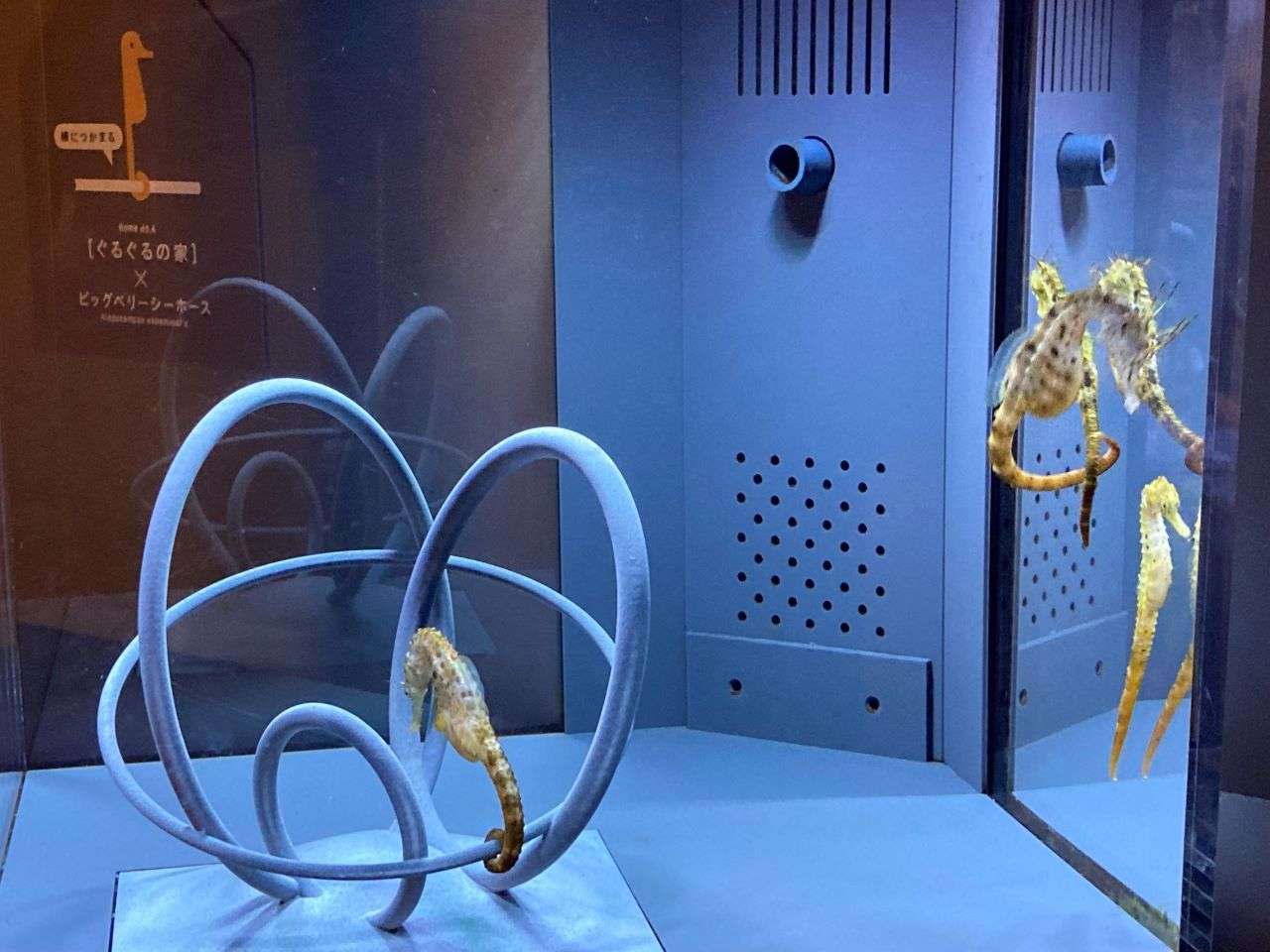 カタチとくらし展