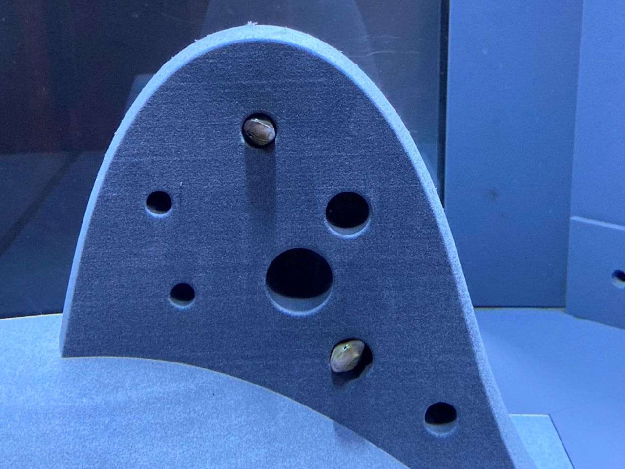 カタチとくらし展