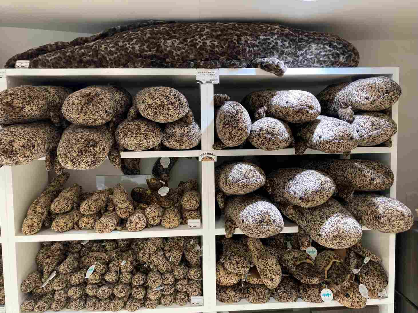 ミュージアムショップ