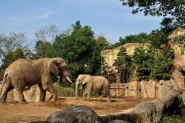 八木山動物公園