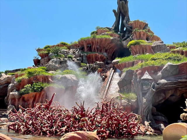 スプラッシュ・マウンテン「びしょ濡れMAX」