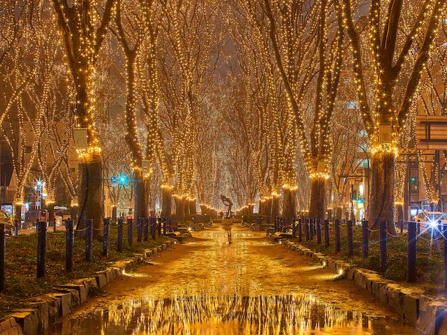 宮城県仙台市2021SENDAI光のページェント