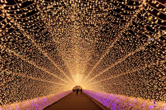 三重県桑名市なばなの里イルミネーション