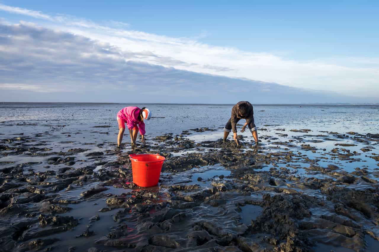 潮干狩りイメージ