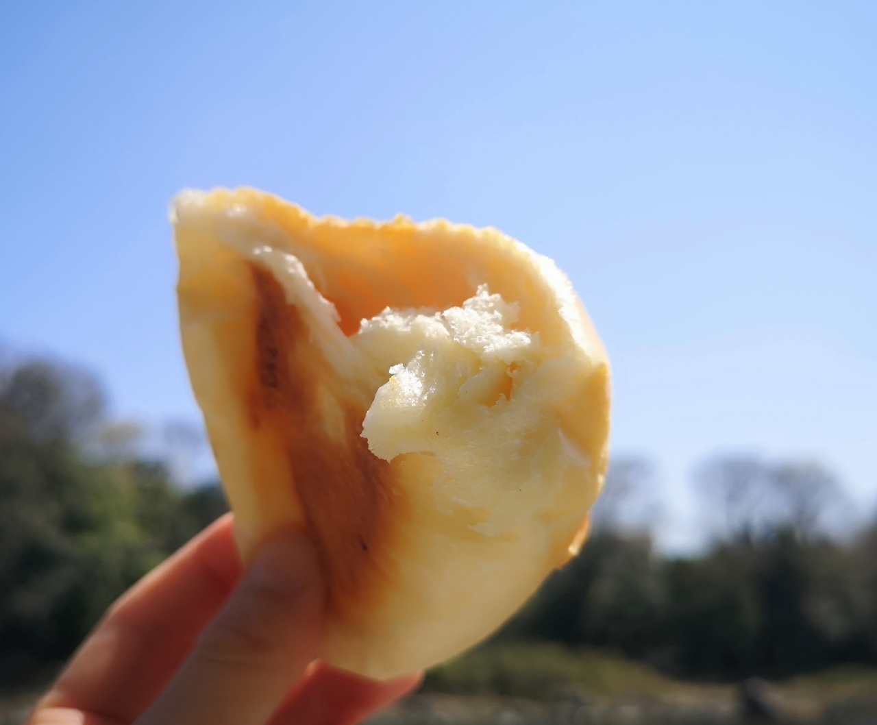 「しあわせの葉っぱベーカリー」しあわせの塩パン2