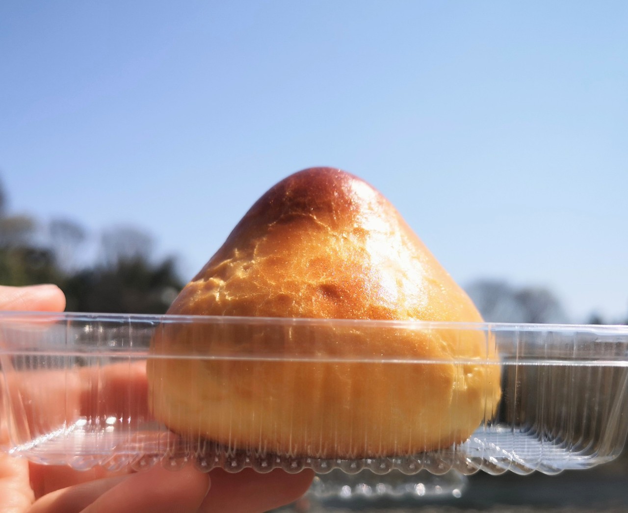 「しあわせの葉っぱベーカリー」御岳山つぶあんぱん