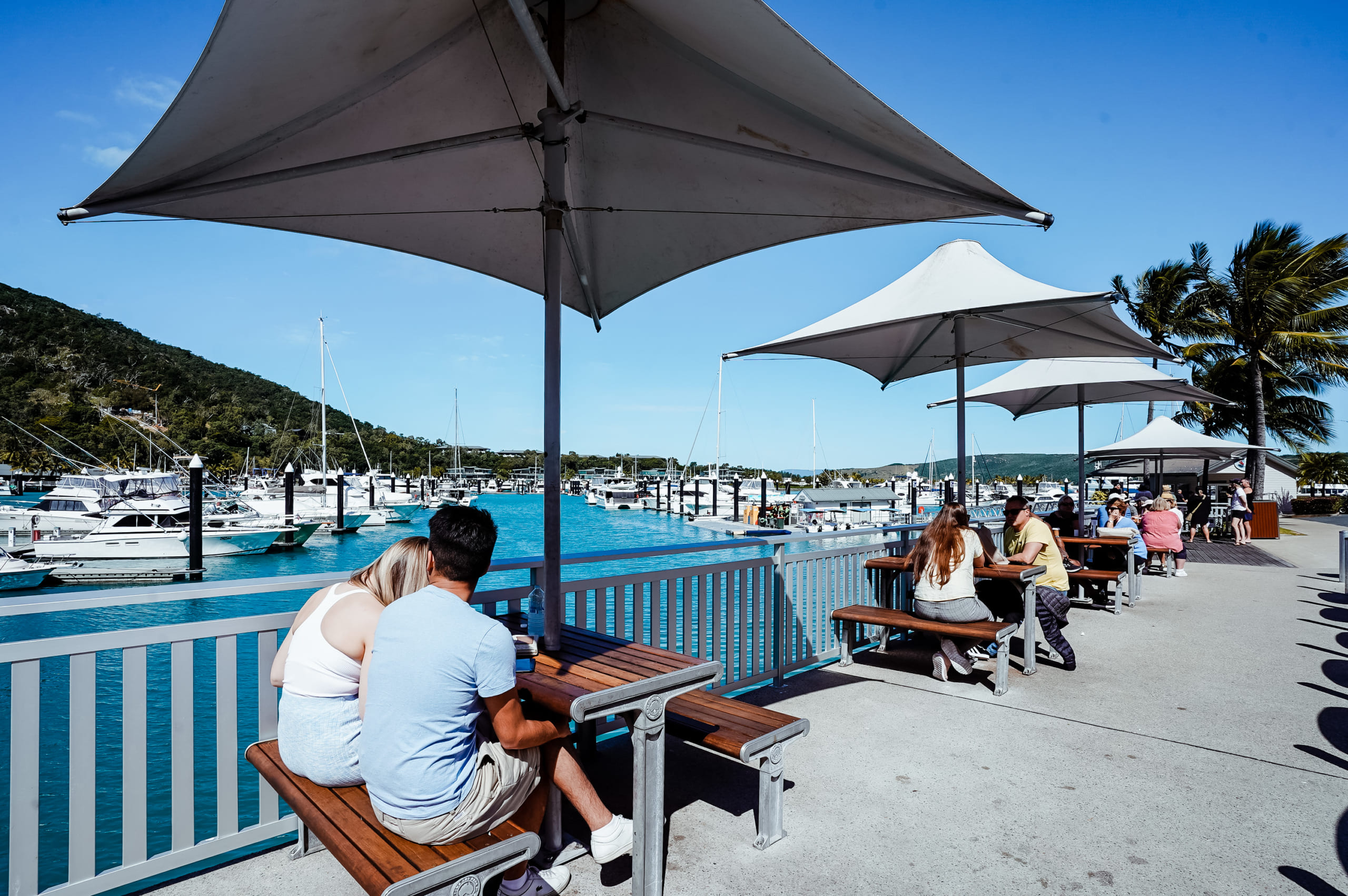 【画像】ハミルトン島のヨットハーバー