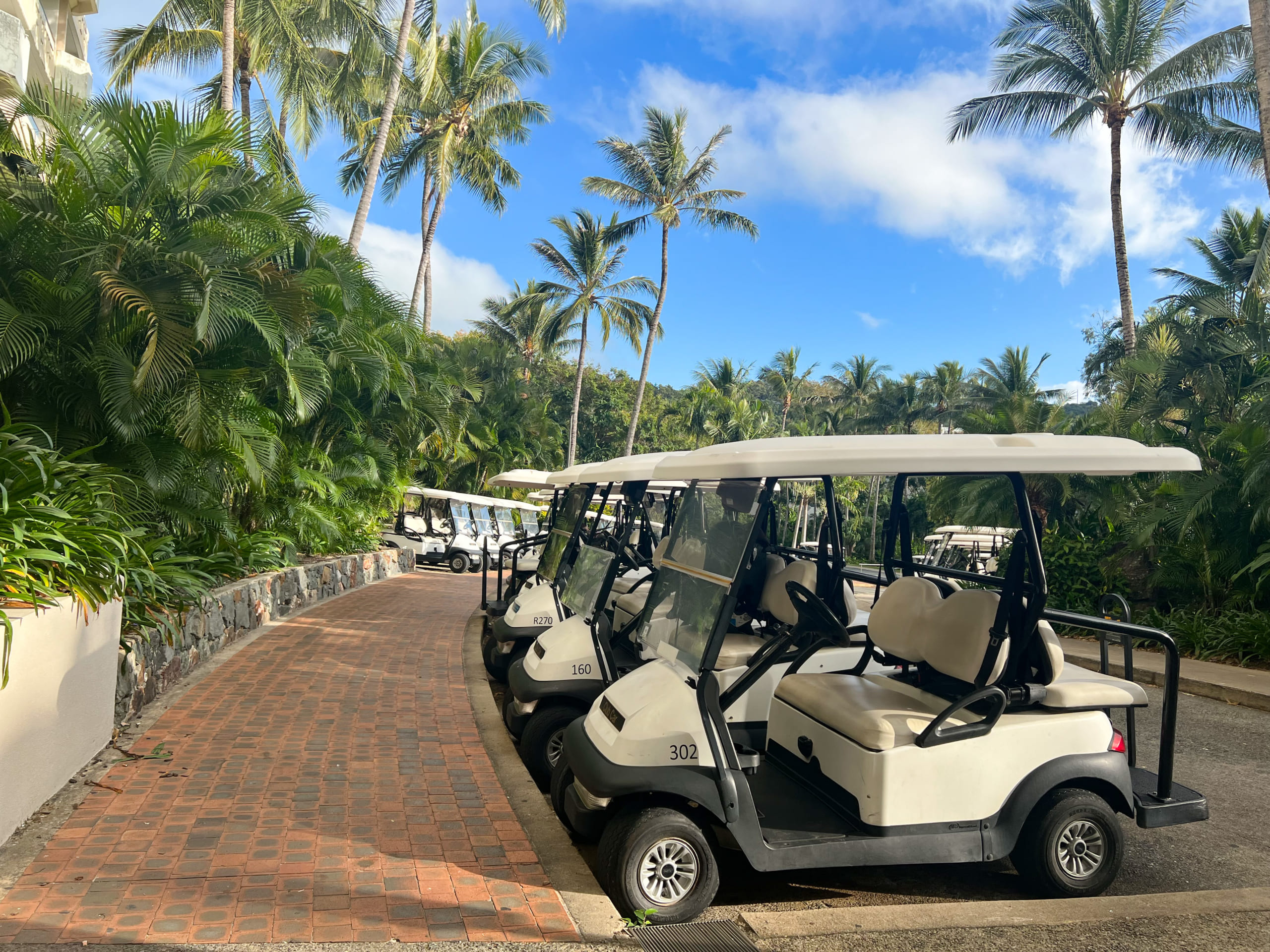 【画像】ハミルトン島のバギー