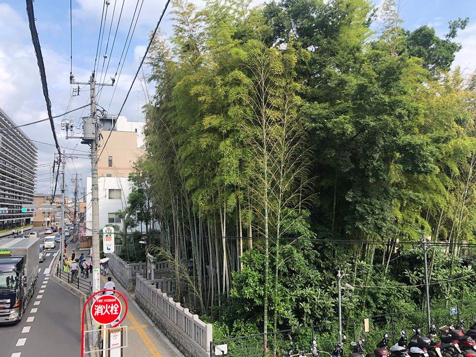 八幡の藪知らず