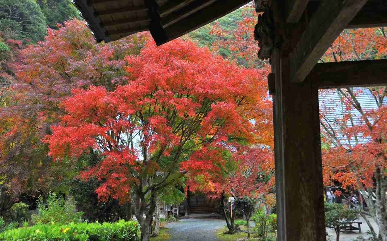 千葉県南房総市千倉町小松寺