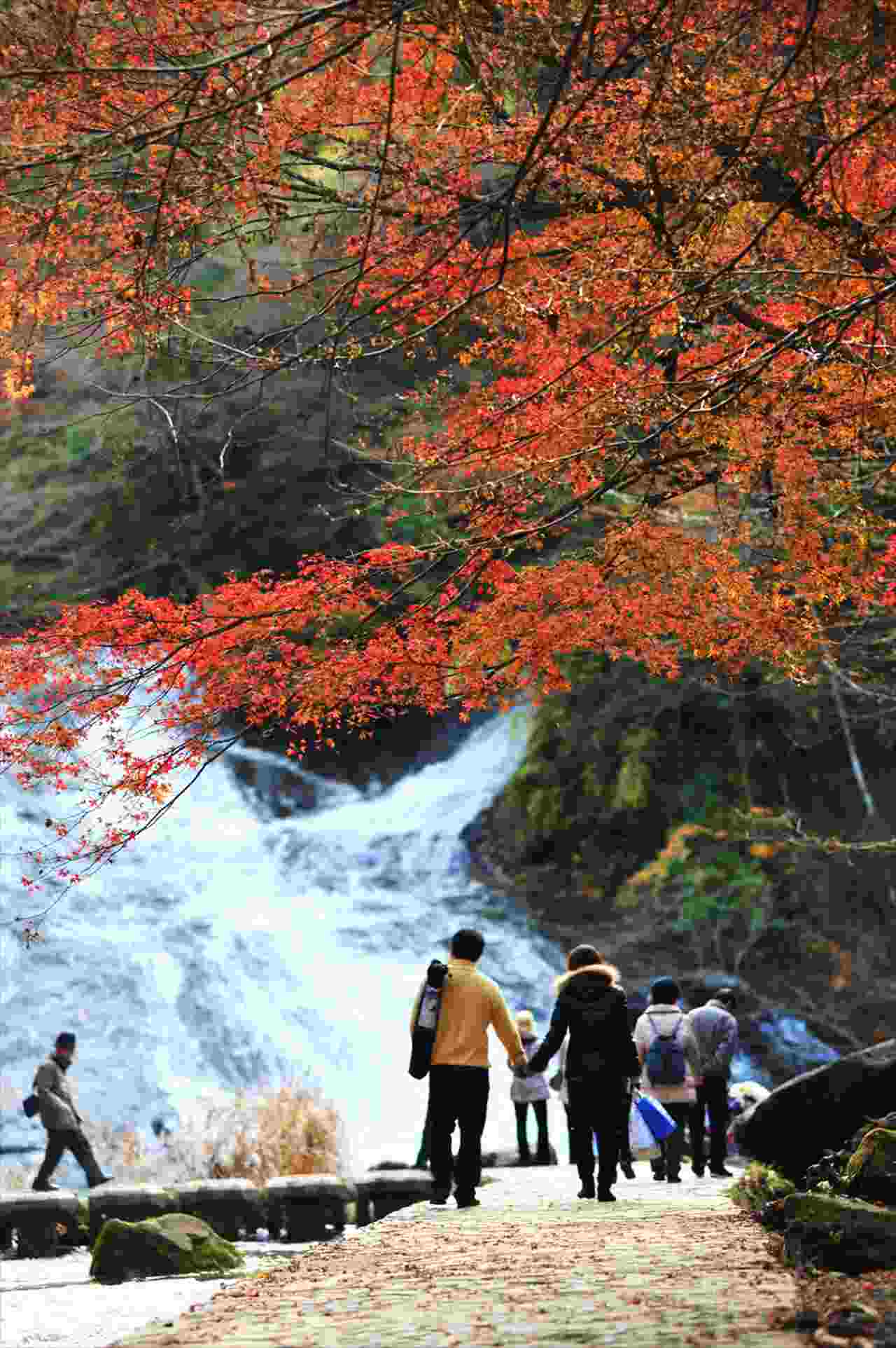 千葉県夷隅郡大多喜町養老渓谷 粟又の滝