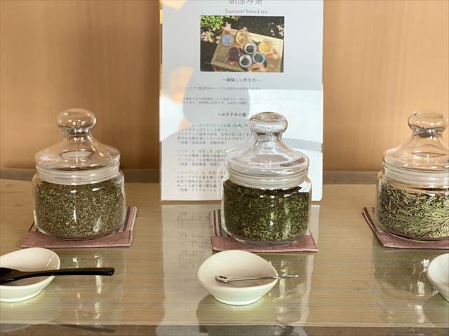 界 遠州　朝涼み茶