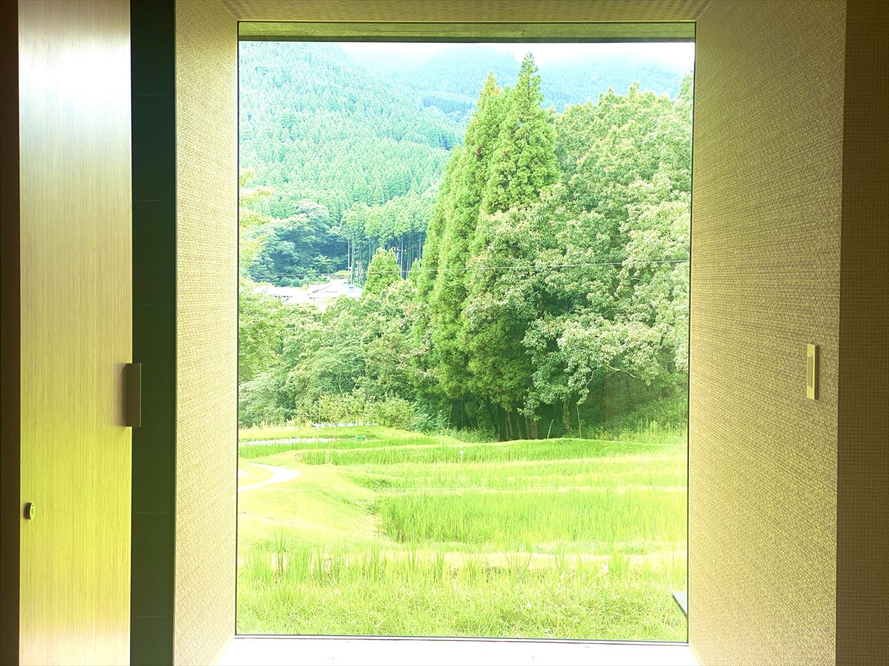 ピクチャーウィンドウ