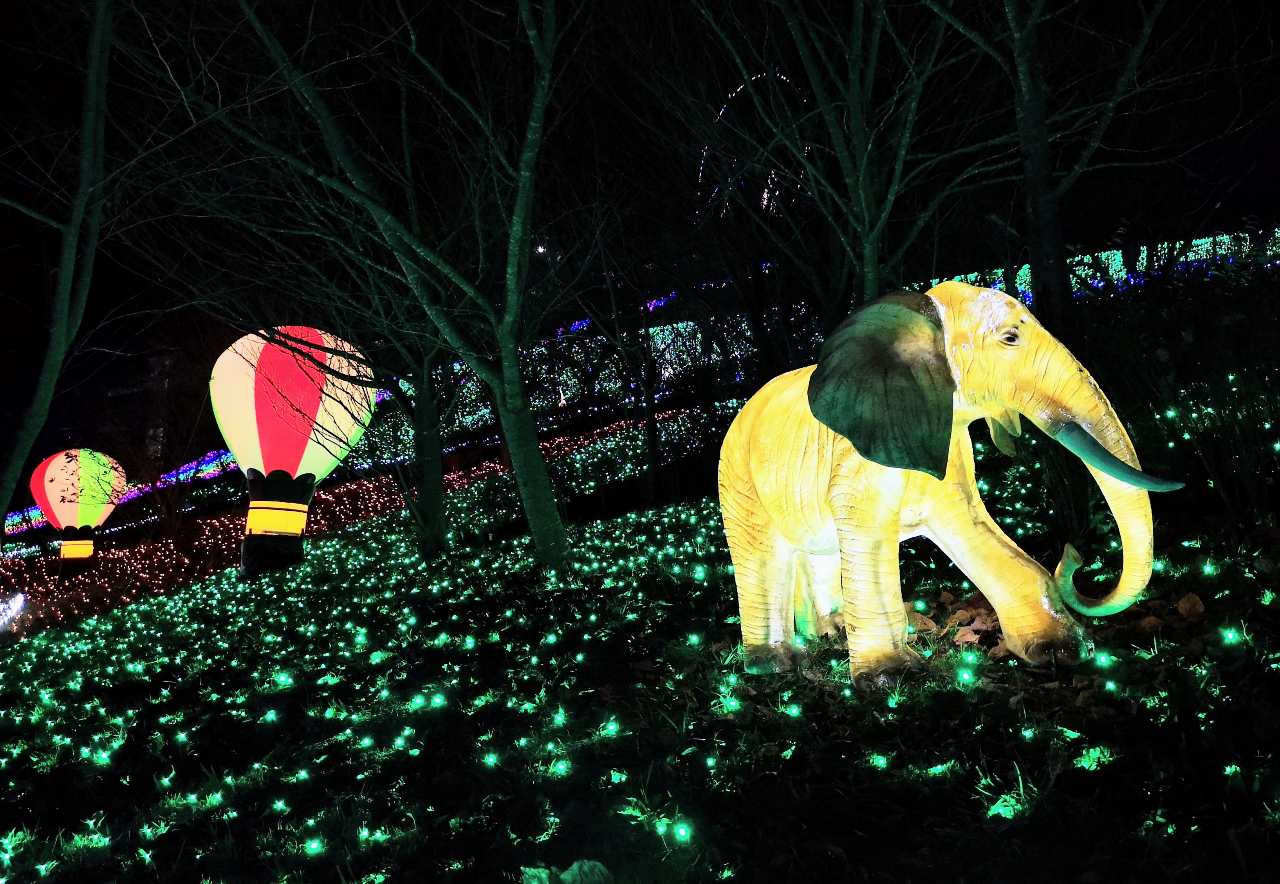 神奈川県相模原市・さがみ湖リゾート プレジャーフォレスト「さがみ湖イルミリオン」光の動物園