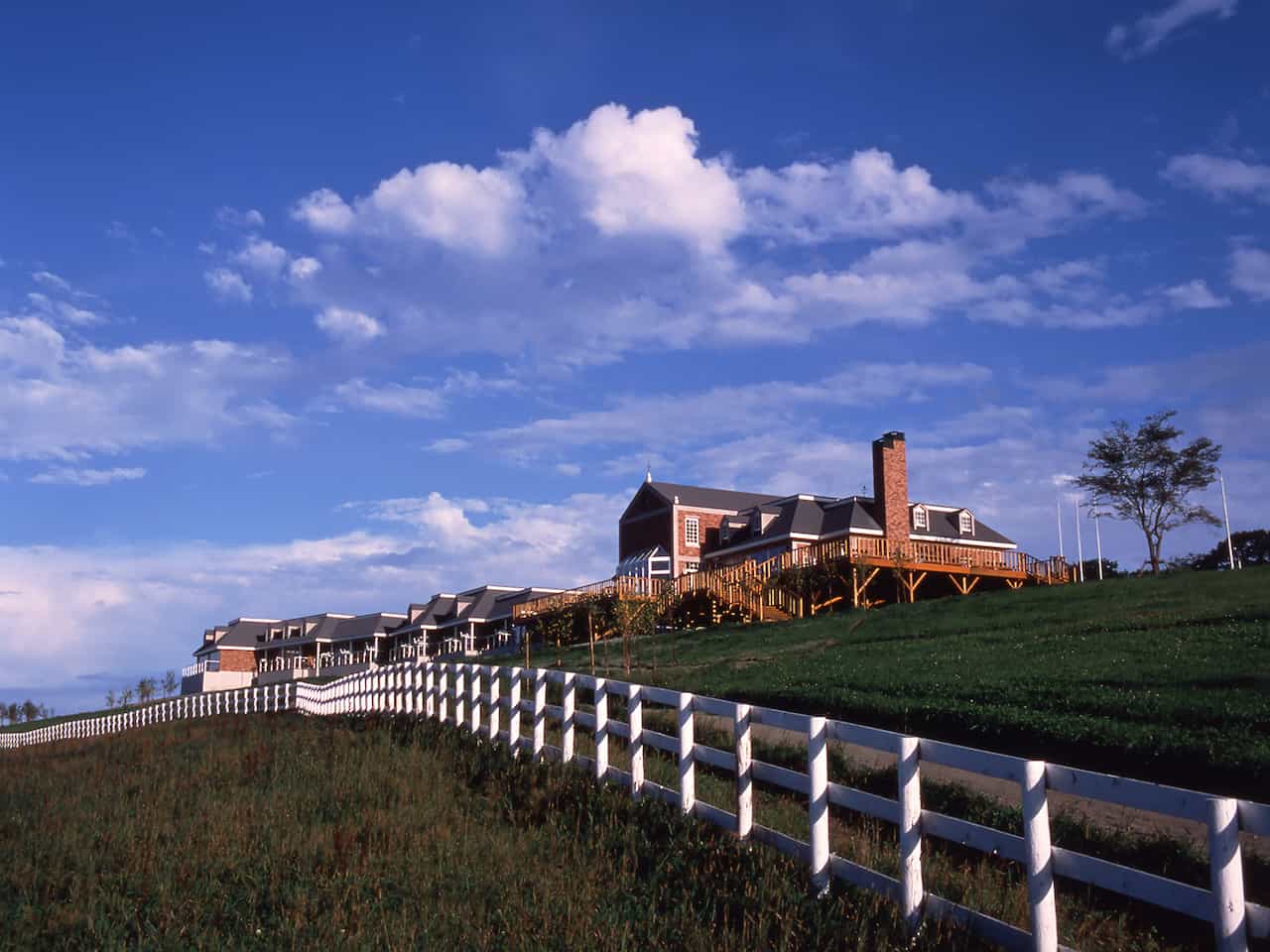 ハーベスター八雲