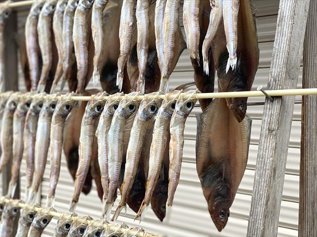 ひのみさき商店街　干物