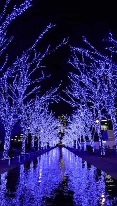 青の洞窟 SHIBUYA