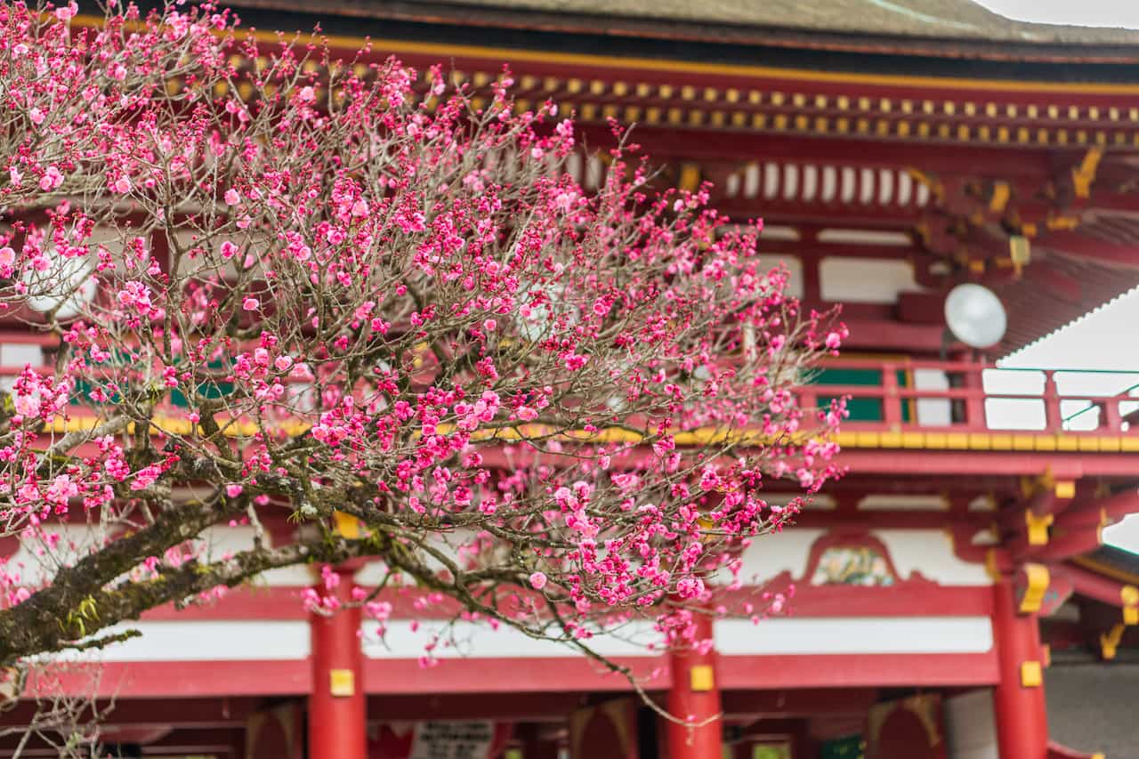 福岡県・太宰府天満宮