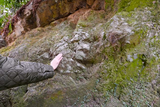 出雲大社　八雲山の岩肌